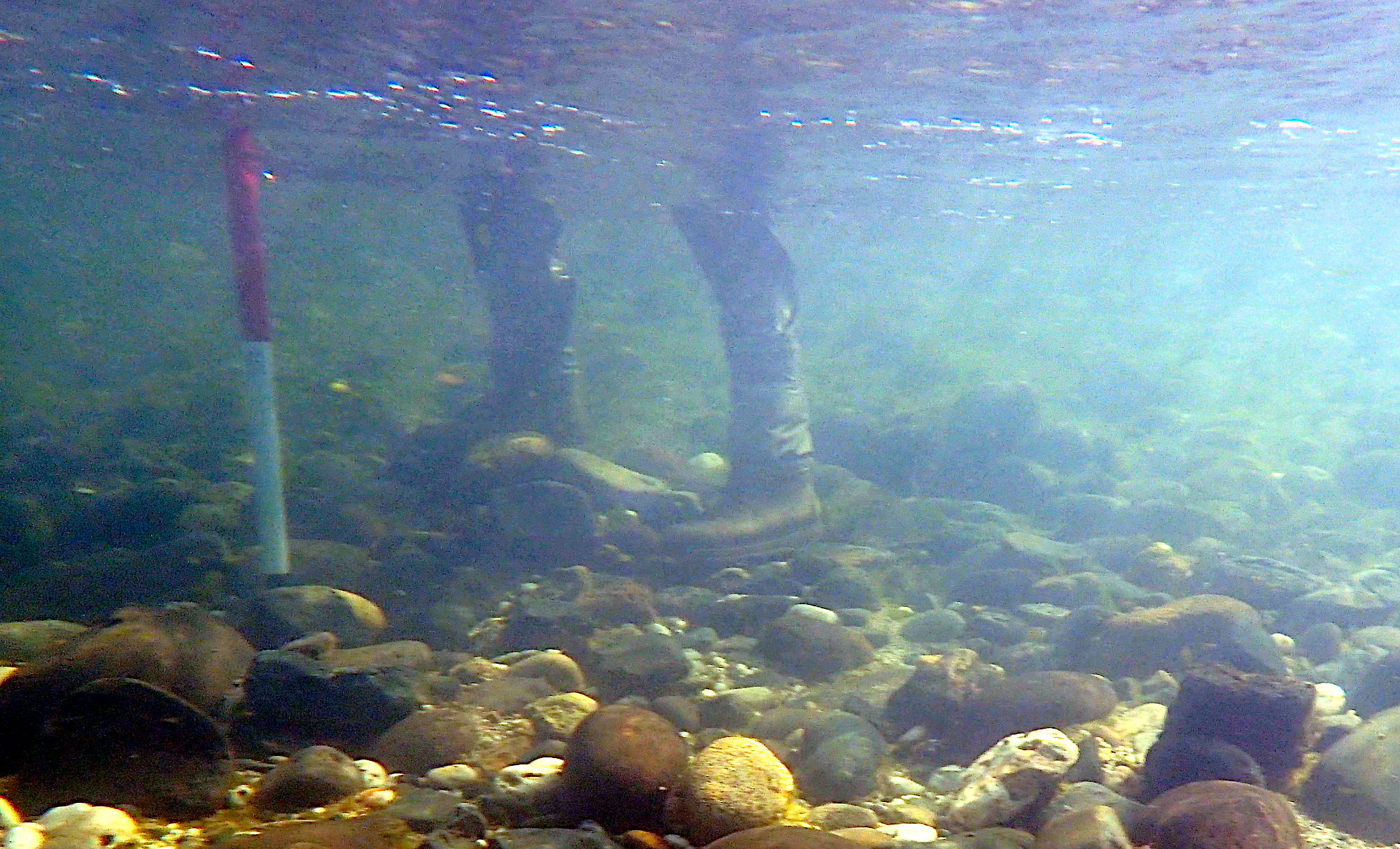 River Flow 2020: Fluvial Hydraulics Online