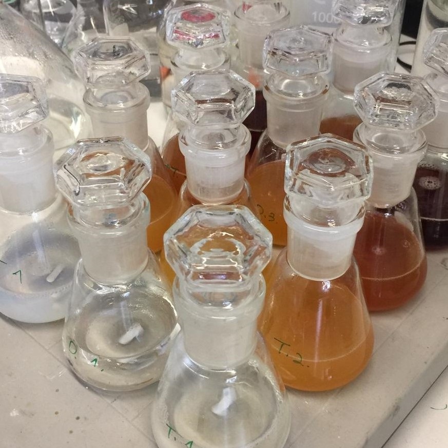Glasfläschchen mit Batches (ISCO)