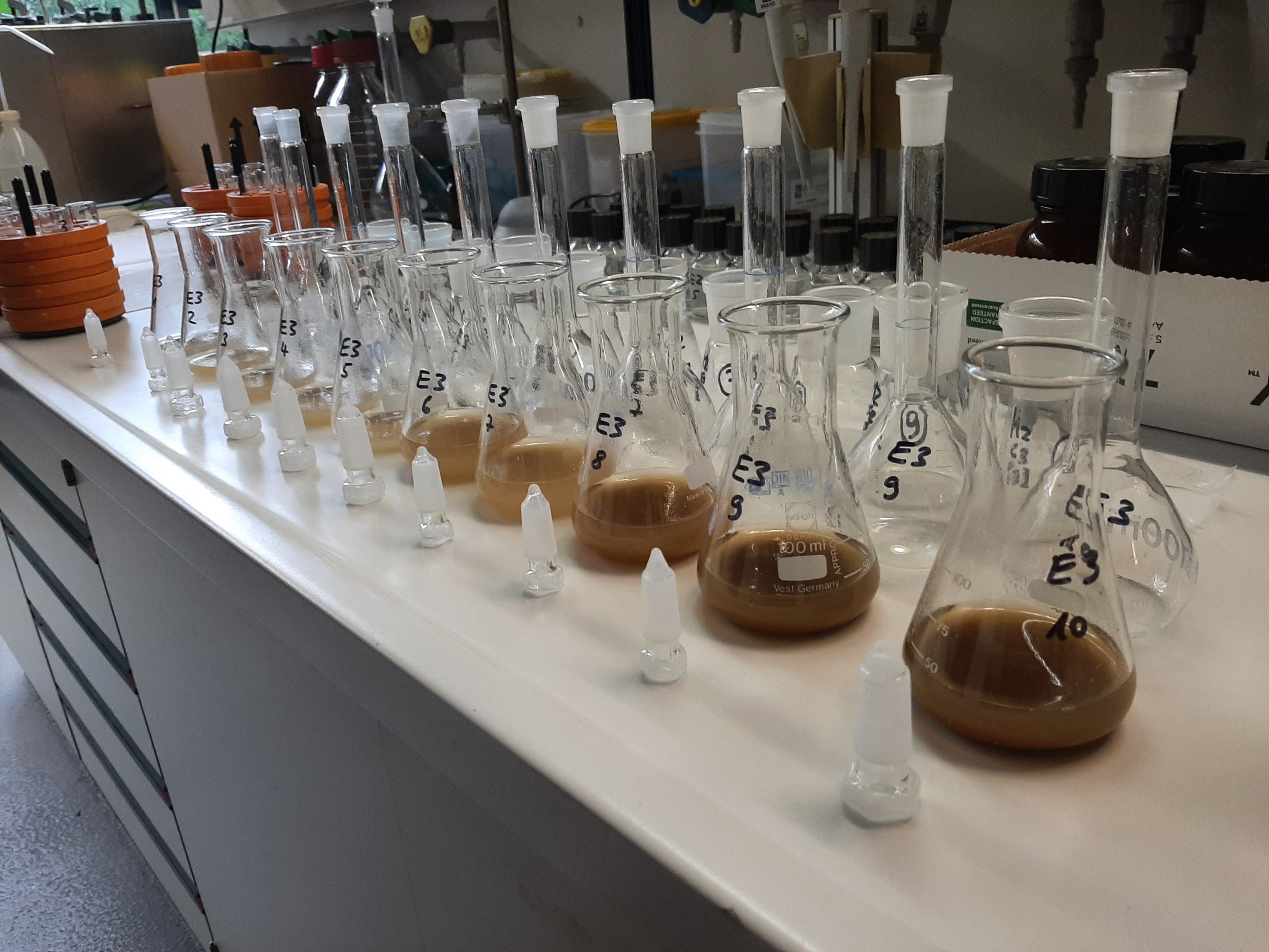 sequential extraction: a laboratory table is seen with severals vials on top. 