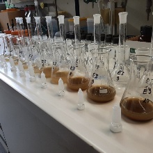 sequential extraction: a laboratory table is seen with severals vials on top. 