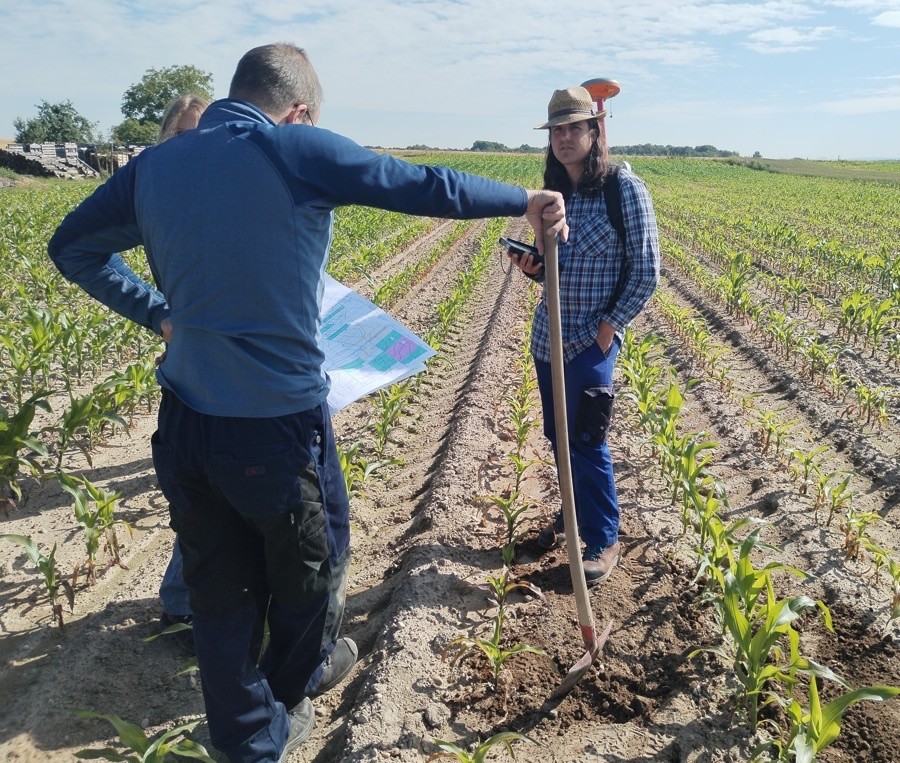 3 persons standing in a field - one is holding a map, another a spade: preparing for sampling
